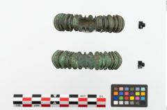 Foto von Bronzebuckelarmeif (NHMW-PRAE-023748)